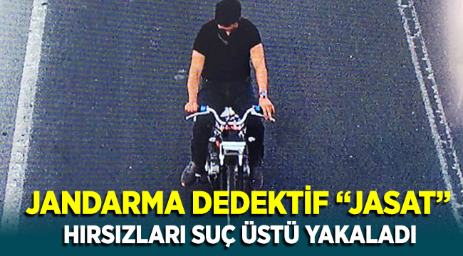 Jandarma Dedektifi