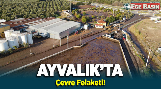 AYVALIK’TA ÇEVRE FELAKETİ