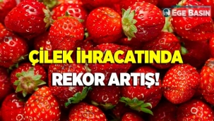 2021'in ilk çeyreğinde çilek ihracatında yüzde 333'lük rekor artış