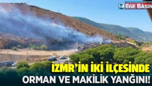 Son dakika haber: İZMİR'in Ödemiş ilçesinde orman, Urla'da da makilik alanda yangın çıktı.