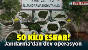 Jandarmadan operasyon: 50 kilonun üzerinde esrar ele geçirildi