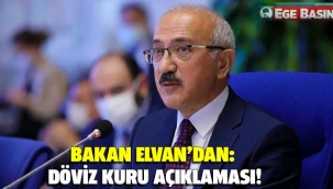 Bakan Elvan'dan döviz kuru açıklaması
