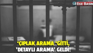'Çıplak arama' gitti, 'detaylı arama' geldi!
