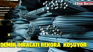 Demir ihracatı rekora koşuyor
