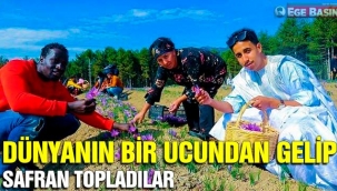 Hiç bu kadar yakışmamıştı: Dünyanın bir ucundan gelip safran topladılar
