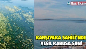 Karşıyaka sahilinde yeşil kabusa son!