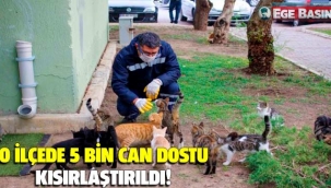 O ilçede 5 bin can dostu kısırlaştırıldı