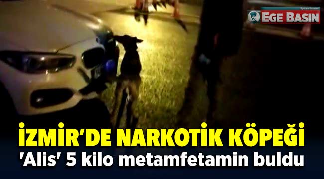 İzmir'de Narkotik köpeği 'Alis' 5 kilo metamfetamin buldu
