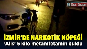 İzmir'de Narkotik köpeği 'Alis' 5 kilo metamfetamin buldu