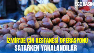 İzmir'de çin kestanesi operasyonu: Satarken zabıtaya yakalandı