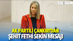 AK Partili Çankırı’dan Şehit Fethi Sekin Mesajı