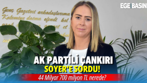 AK Partili Çankırı Soyer’e sordu: 44 Milyar 700 milyon TL nerede?