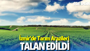 İzmir'de Tarım Alanları Talan Edildi!